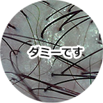 高性能マイクロスコープで頭皮をチェックします！